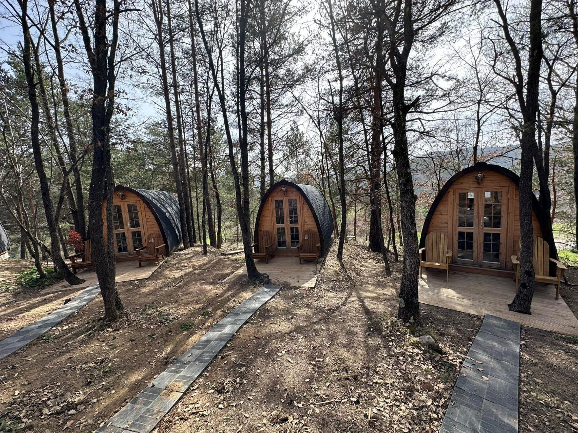 Camping Ripolles Buitenkant foto