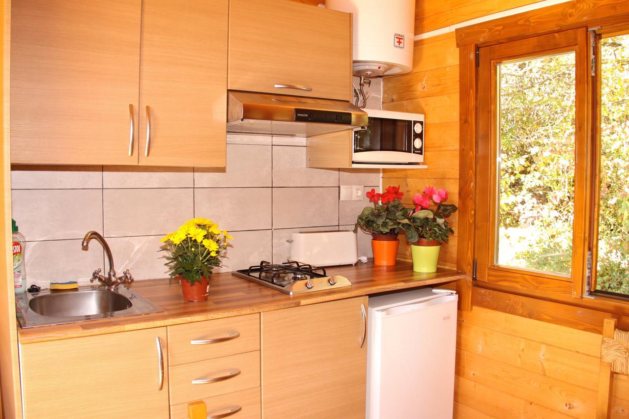 Camping Ripolles Buitenkant foto