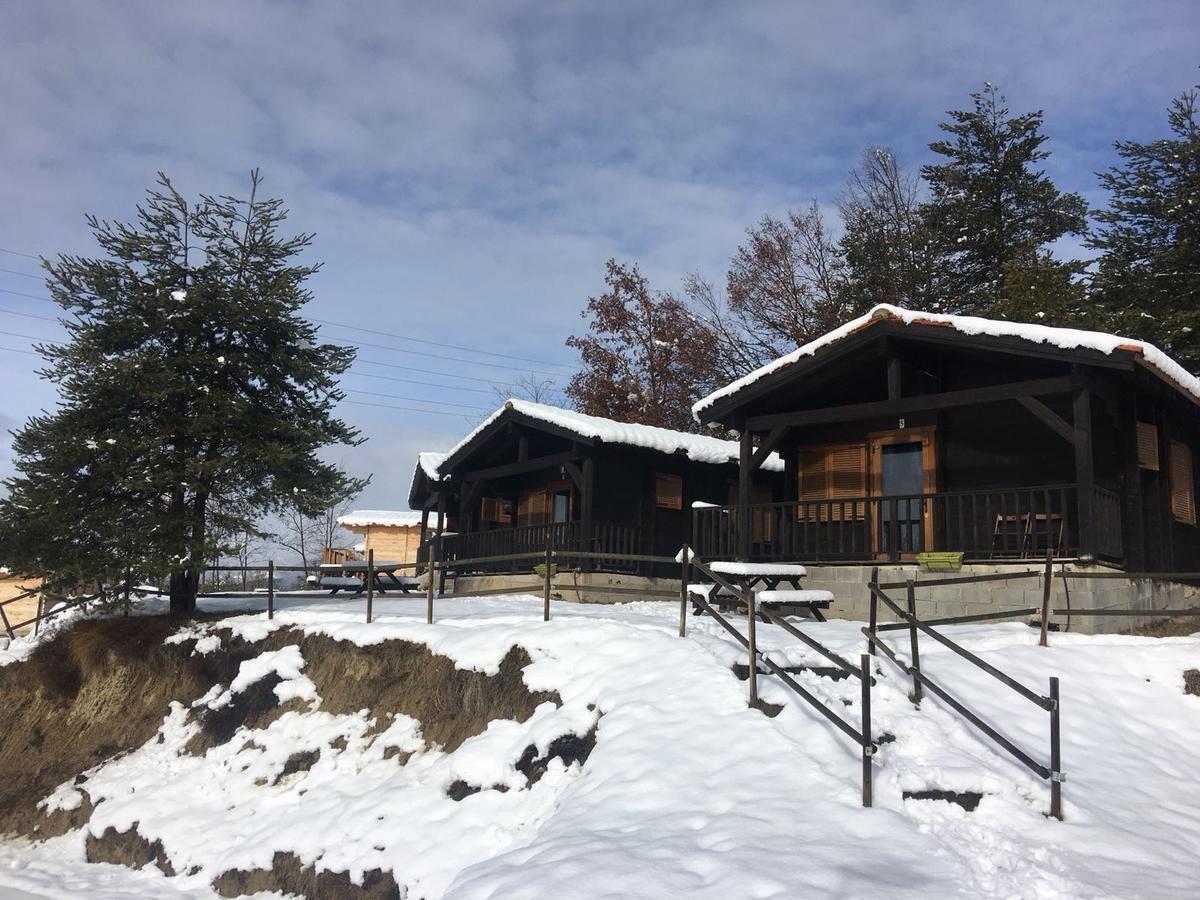 Camping Ripolles Buitenkant foto